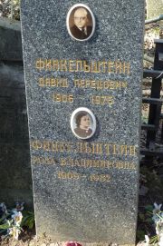 Финкельштейн Давид Перецович, Москва, Востряковское кладбище